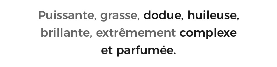 accroche-horizontale-1-puissante-grasse-dodue.jpg